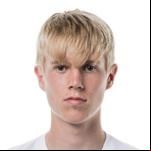 H. Haraldsson
